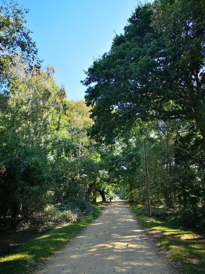 米尔福德昂西Pebble Bay Retreat别墅 外观 照片
