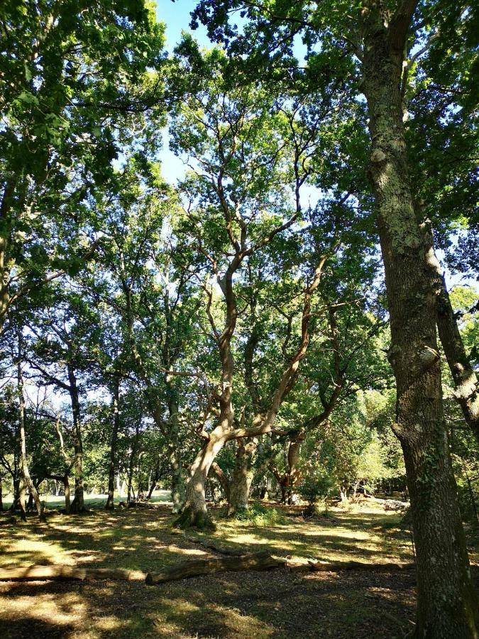 米尔福德昂西Pebble Bay Retreat别墅 外观 照片